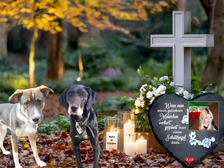 Diana Bahador Baby Rider 123