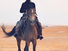 Diana Bahador Baby Rider 96