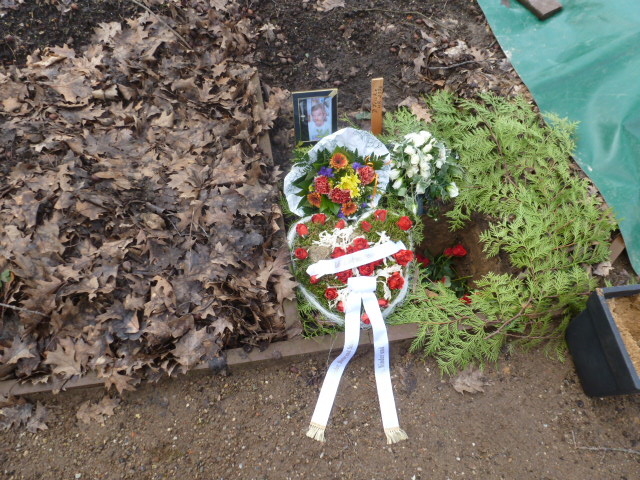 Bilder von Dieter Fricke