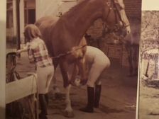 Dieter Kroenung 10