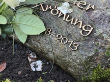 Dieter Kroenung 8