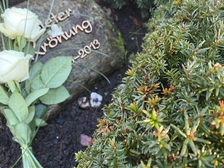 Dieter Kroenung 9