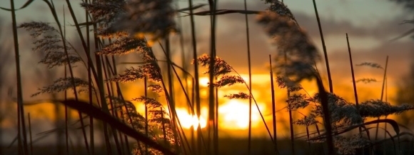 Stimmungsbild-Dietmar-Klessinger-3