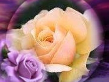 Donald David Dixon 0 Connor 16