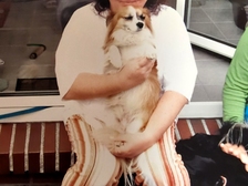 Theodora Doris Rolke 10