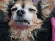 Theodora Doris Rolke 14