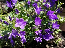 Theodora Doris Rolke 18