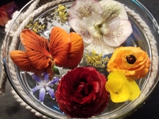 Theodora Doris Rolke 19