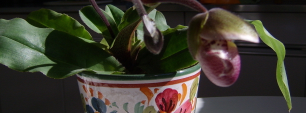 Stimmungsbild-Elfriede-Görgen-1