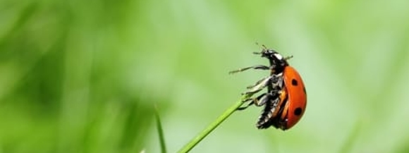 Stimmungsbild-Elke-Kleemann-3