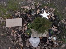 Elke-Marianne Blank 11