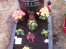 Ella Xanthopoulos 27