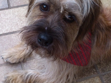 Elli Frieß - Stitz 13