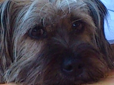 Elli Frieß - Stitz 14