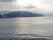 Elli Frieß - Stitz 7