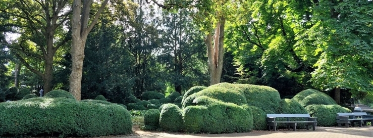 Stimmungsbild-Emma-Spreng-1