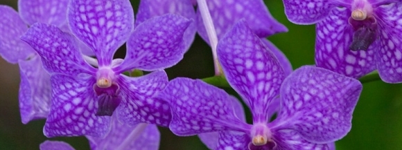 Stimmungsbild-Erika-Thon-5