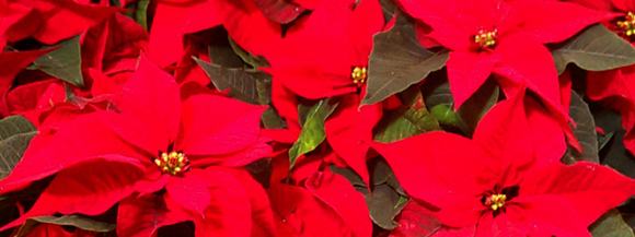 Stimmungsbild-Esther-Albrecht-1