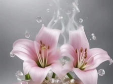 Evelyn Regina Westphal 79