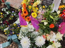 Evelyn Regina Westphal 12