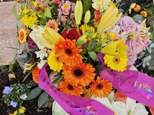 Evelyn Regina Westphal 13