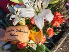 Evelyn Regina Westphal 17