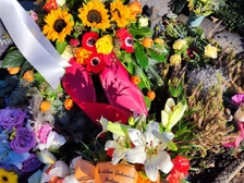 Evelyn Regina Westphal 18