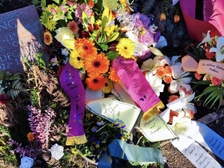 Evelyn Regina Westphal 21