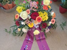 Evelyn Regina Westphal 22