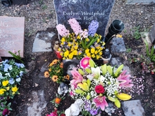 Evelyn Regina Westphal 28