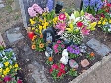 Evelyn Regina Westphal 29