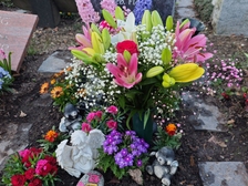 Evelyn Regina Westphal 30