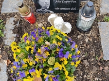 Evelyn Regina Westphal 32