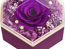 Evelyn Regina Westphal 35