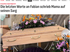 Fabian L Aus Güstrow 96