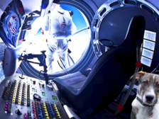 Felix Baumgartner 48
