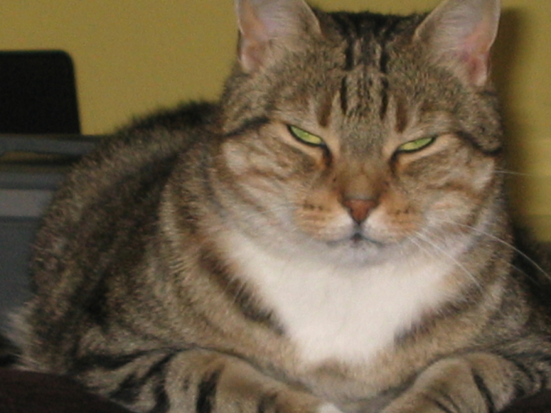 Bilder von Ferenc Toth