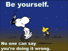 Flips Albrecht von Goetz 21