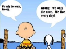 Flips Albrecht von Goetz 22