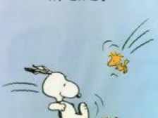 Flips Albrecht von Goetz 26