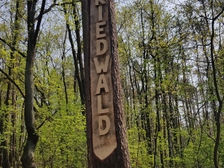 Frank Mißbach 4