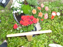 Frank Von Gratowski 7