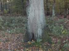 Franz Josef Söntgerath 7