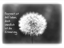 Friederike Febronia Freifrau von Froenau 2