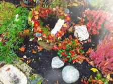 Friederike Febronia Freifrau von Froenau 4