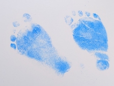 Friedrich Hedert 6