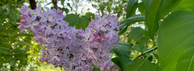 Stimmungsbild-Gabriele-Schumacher-1