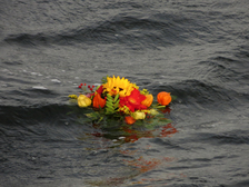 Georg Von Pilgrim 20