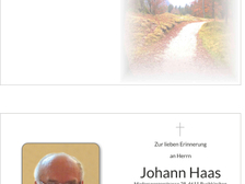 Johann Haas 3