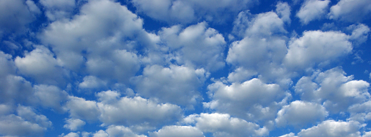 Stimmungsbild-Gudrun-Gogol-1